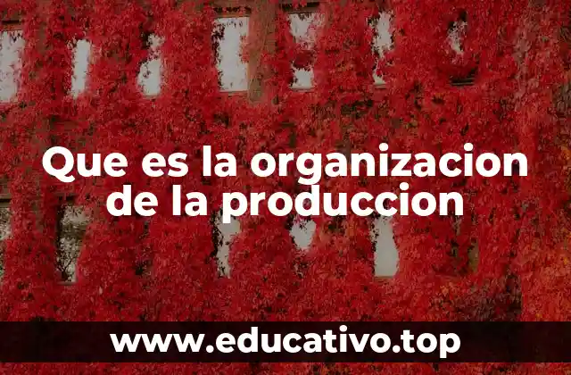 Que es la organizacion de la produccion