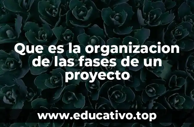 Que es la organizacion de las fases de un proyecto