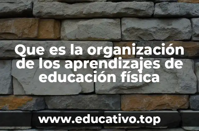 Que es la organización de los aprendizajes de educación física