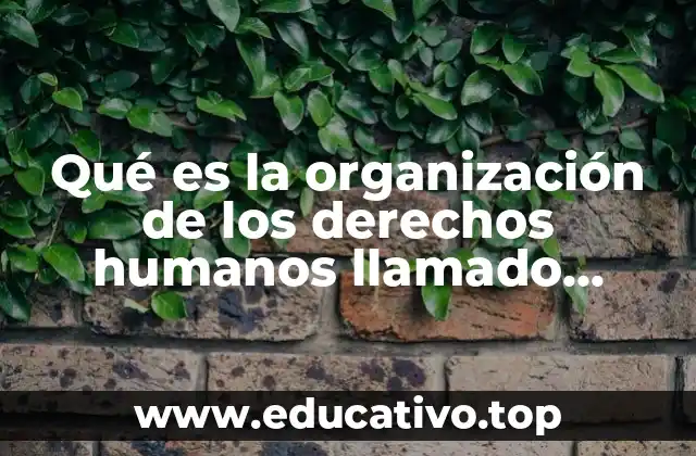 El rol de Tlachinollan en la lucha contra la violencia estructural