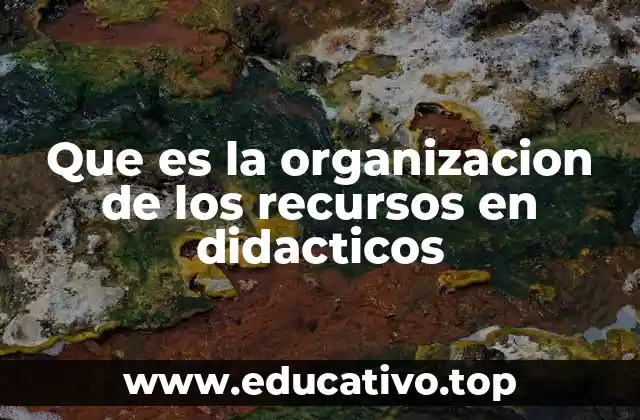 Que es la organizacion de los recursos en didacticos