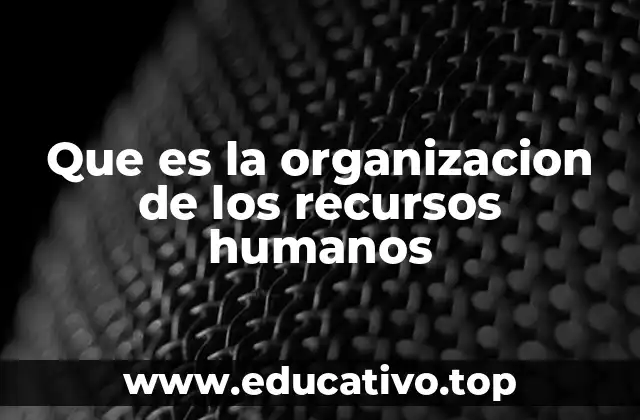 Que es la organizacion de los recursos humanos