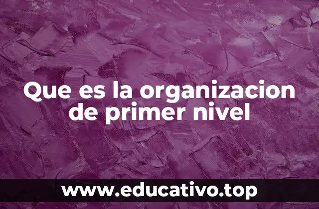 Que es la organizacion de primer nivel