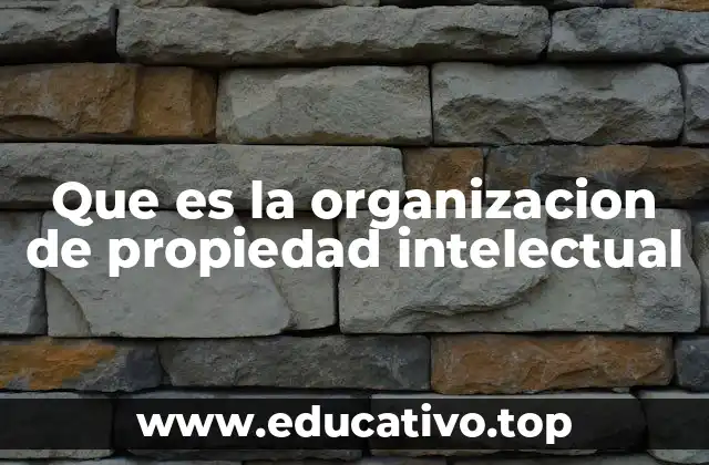 Que es la organizacion de propiedad intelectual