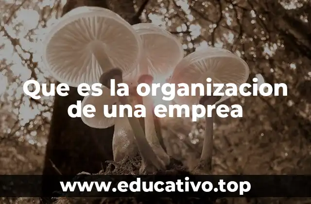 Que es la organizacion de una emprea