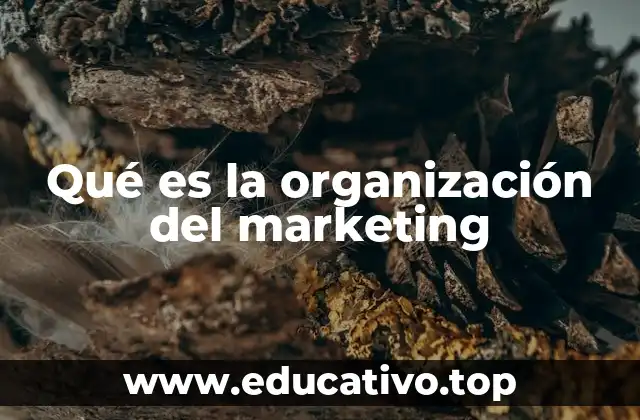 Qué es la organización del marketing