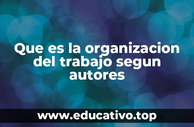 Que es la organizacion del trabajo segun autores