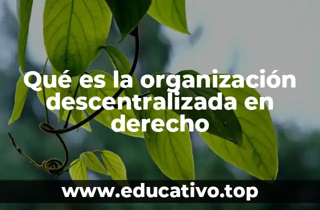 Qué es la organización descentralizada en derecho