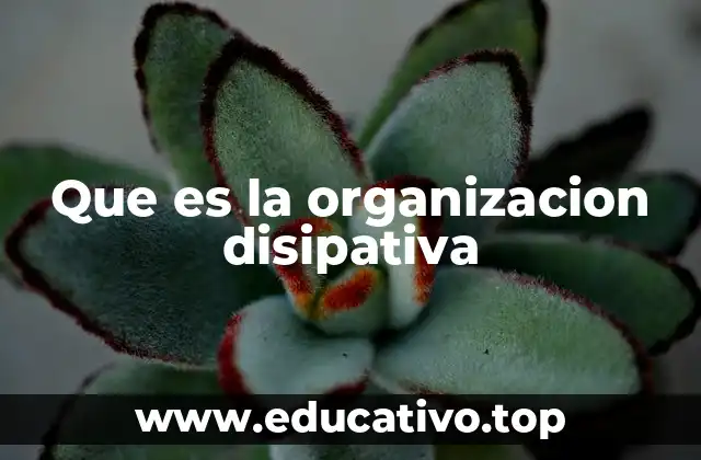 Que es la organizacion disipativa