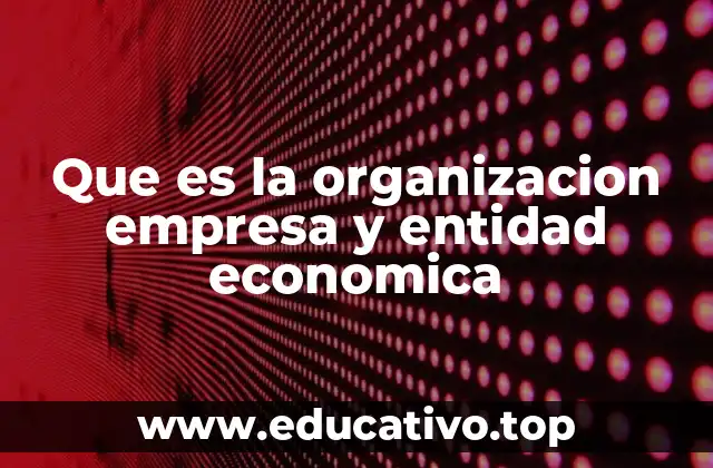Que es la organizacion empresa y entidad economica
