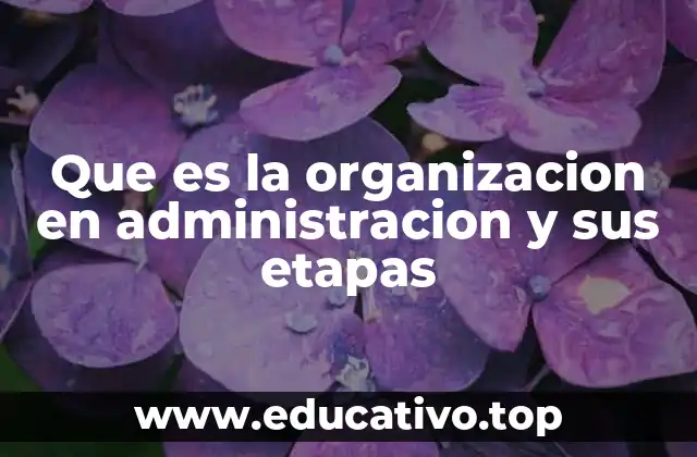 Que es la organizacion en administracion y sus etapas