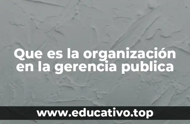 Que es la organización en la gerencia publica
