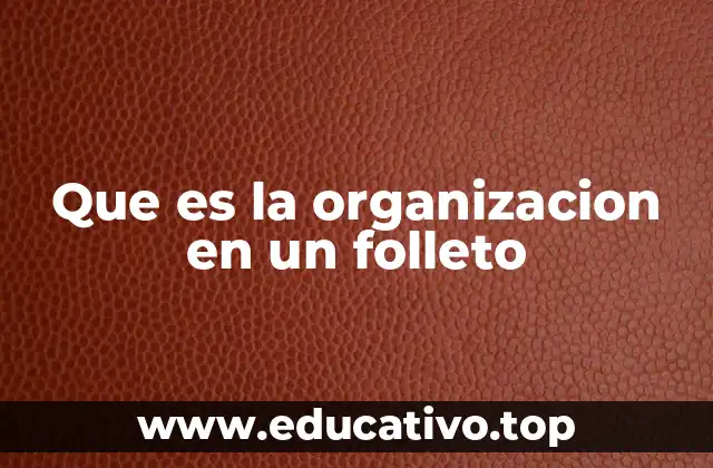 Que es la organizacion en un folleto