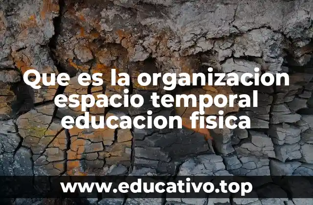 Que es la organizacion espacio temporal educacion fisica