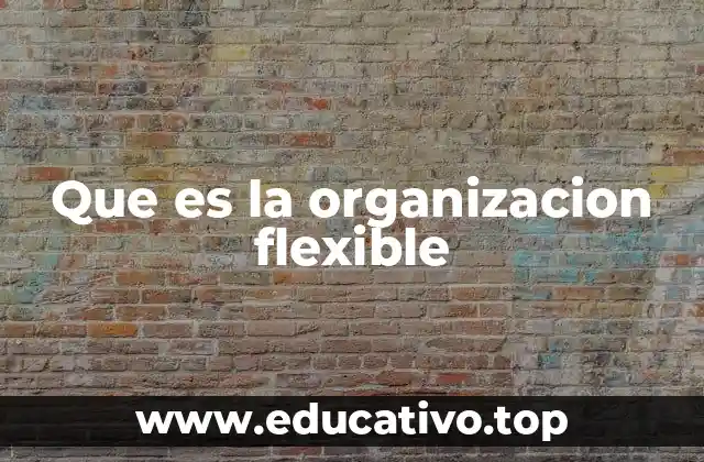 Que es la organizacion flexible