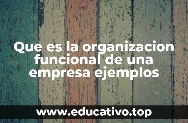 Que es la organizacion funcional de una empresa ejemplos