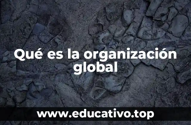 Qué es la organización global