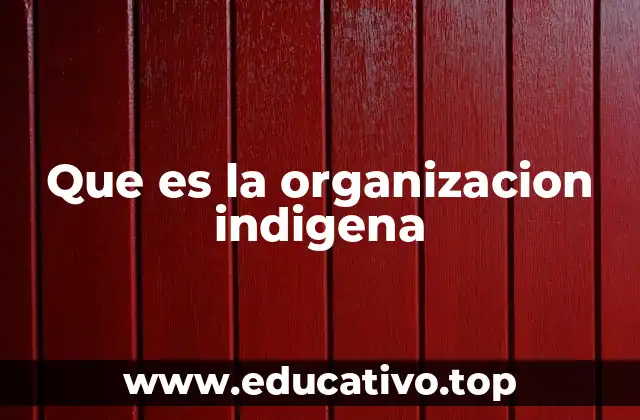 Que es la organizacion indigena