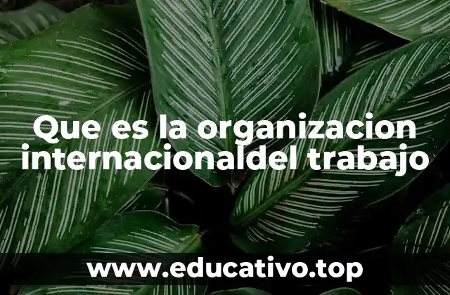 Que es la organizacion internacionaldel trabajo