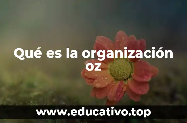 Qué es la organización oz