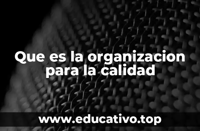 Que es la organizacion para la calidad