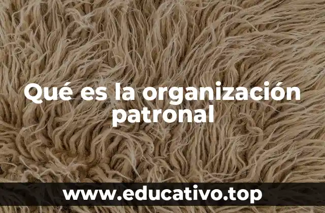 Qué es la organización patronal