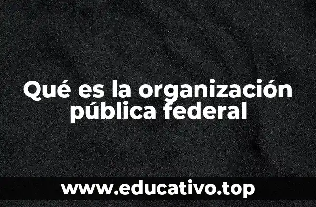 Qué es la organización pública federal