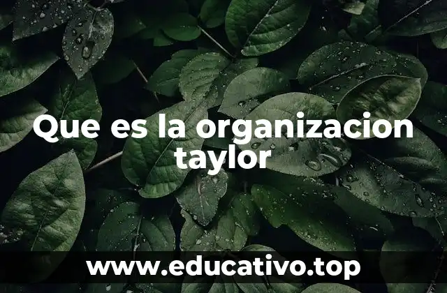 Que es la organizacion taylor