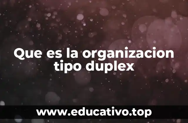 Que es la organizacion tipo duplex