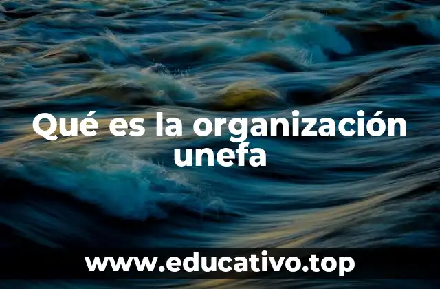 Qué es la organización unefa