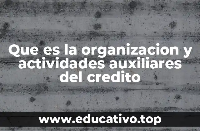 El papel de los intermediarios en el ecosistema crediticio