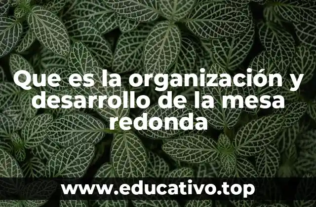 Que es la organización y desarrollo de la mesa redonda
