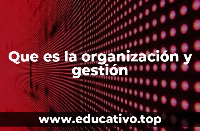 Que es la organización y gestión