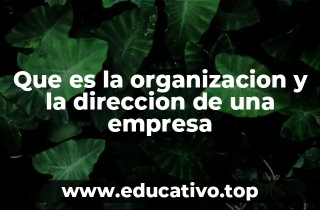 Que es la organizacion y la direccion de una empresa