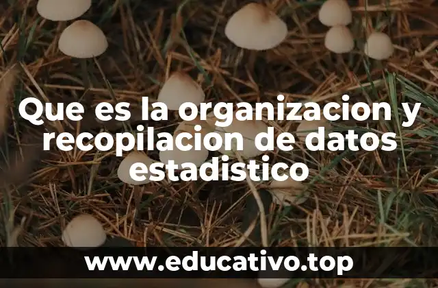 Que es la organizacion y recopilacion de datos estadistico