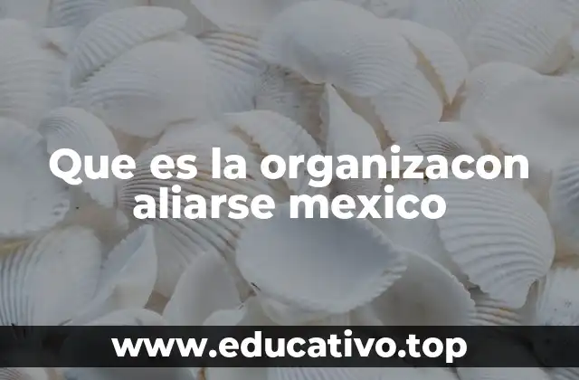 Que es la organizacon aliarse mexico
