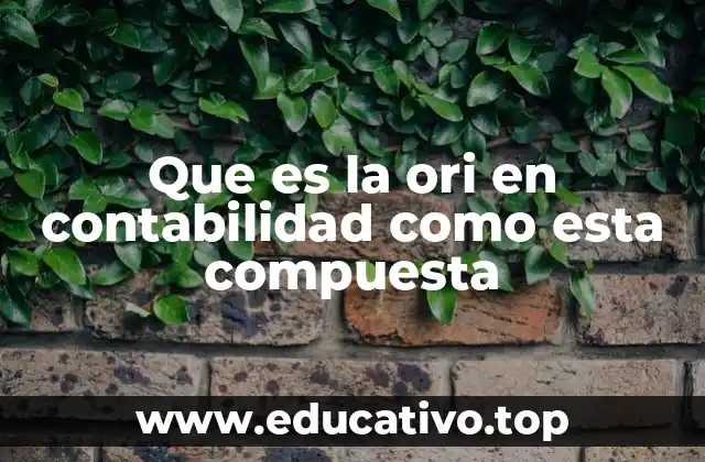 La importancia de la ORI en la gestión contable