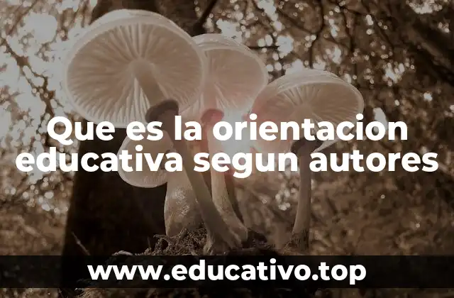 Que es la orientacion educativa segun autores