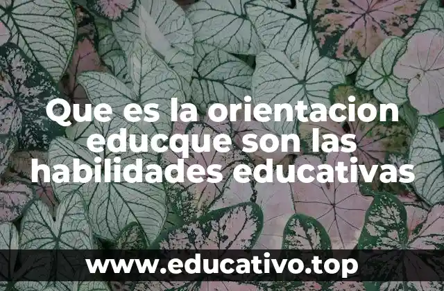 Que es la orientacion educque son las habilidades educativas