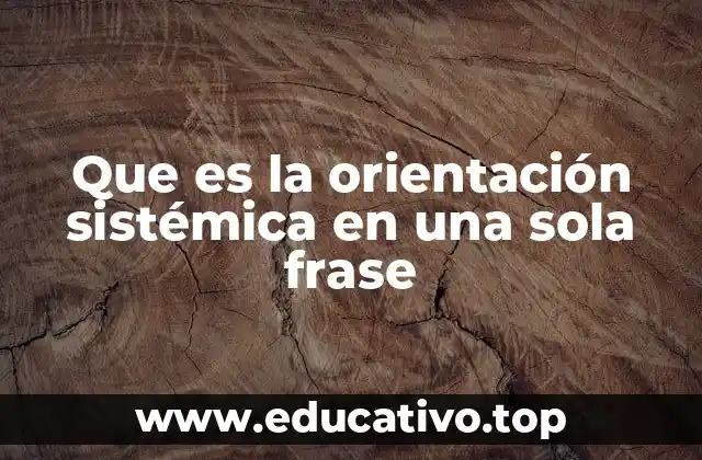 Que es la orientación sistémica en una sola frase