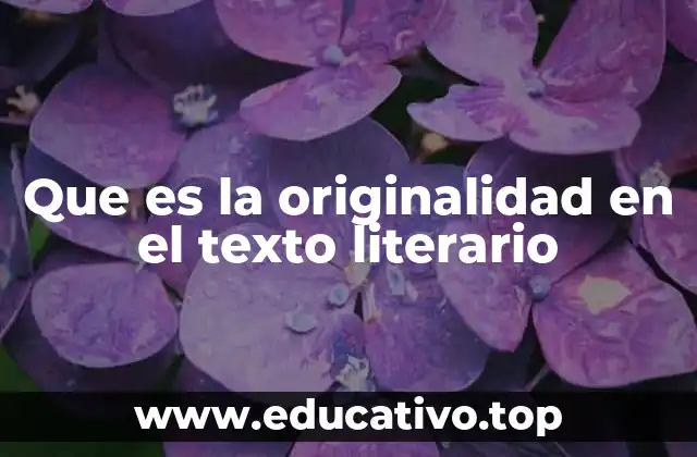 Que es la originalidad en el texto literario