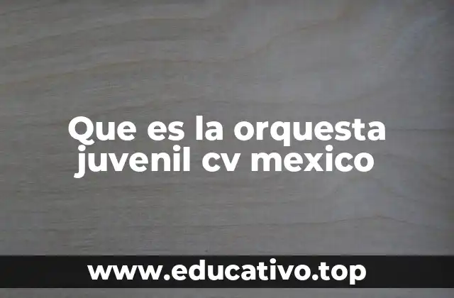 Que es la orquesta juvenil cv mexico