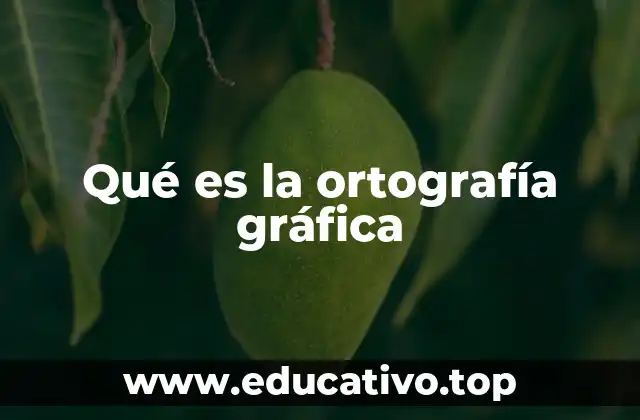 Qué es la ortografía gráfica
