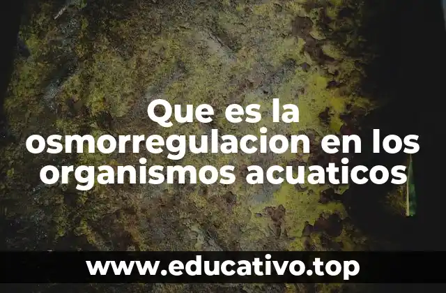 Que es la osmorregulacion en los organismos acuaticos
