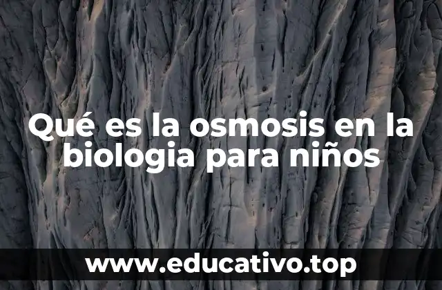 Qué es la osmosis en la biologia para niños