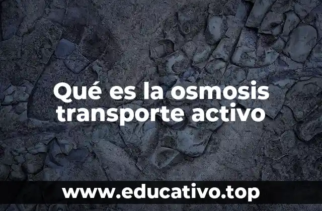 Qué es la osmosis transporte activo