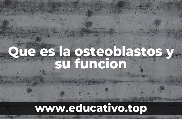 Que es la osteoblastos y su funcion