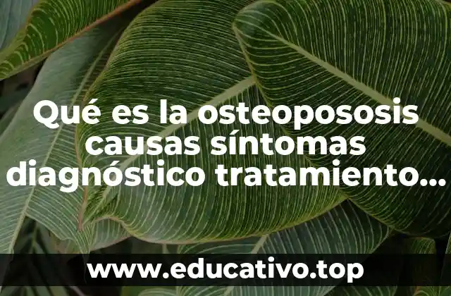 Qué es la osteopososis causas síntomas diagnóstico tratamiento y prevención