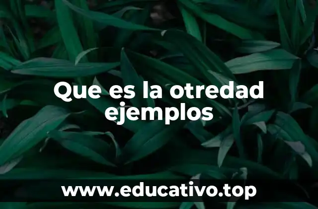 Que es la otredad ejemplos