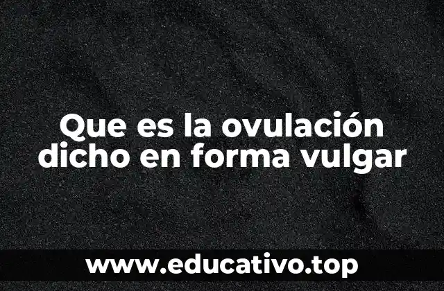 Que es la ovulación dicho en forma vulgar